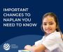 NAPLAN Tutoring
