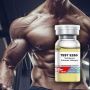 High-Quality Oil-base AAS – Shop Trusted Products High-Quality Oil-base AAS – Shop Trusted Products