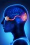 Stem Cell Therapy for Optic Nerve Atrophy
