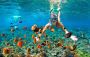 Snorkel tours in La Paz