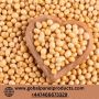 Buy Soybeans Online at Good Price