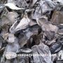 Buy Lead Scrap Online - Gobalpanelproducts