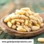 Buy Pine Nuts Online at Good Price | Gobal Panel Products