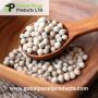 Buy White Pepper Online at Good Price | Gobal Panel Products