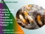 Godrej Pest Control Are the Best Termite Treatment Options