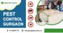 Godrej Pest Control Trusted Pest Control Services in Gurgaon