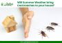 Book Cockroach Pest Control Services in Gurgaon  | Godrej Pe
