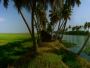 Fulfill Your Cravings for A Kumarakom Trip with Us!