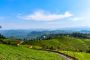 Breathe Easy on Your Vacation with Munnar Trip Packages