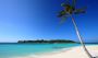 Want Dolphin Watching Excursions on Goa Trip Package?