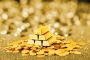 Top Rated Gold Dealer Melbourne Top Rated Gold Dealer Melbourne