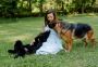 North East German Shepherd Breeders
