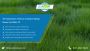 Spring Grass Cutting Services in Dallas - Free Quote Now!