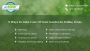 8 Expert Lawn Care Tips for Dallas Homeowners