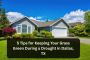5 Tips for Keeping Your Grass Green During a Drought