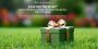 Love Your Lawn? Earn Free Mow Credits with GoMow