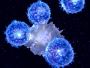 Energy, Brain Health, Anti-Aging 