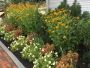 Plant Maintenance Service