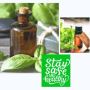 Basil Oil Manufacturers in India: Provide High-Quality Esse