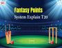 Fantasy Points System Explain In T20