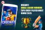 Top Fantasy Small League Tips for Dream11 Masters!