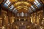Stay Near the Natural History Museum at Grand Plaza Kensingt