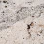 Granite World of Nashville – Stylish Colors for Countertops