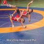 Top Seller Wrestling Approved Mat in Delhi | Gravolite