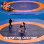 Best Price Wrestling Octagon Mat in Delhi | Gravolite