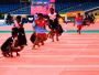 Affordbele Price Kho Kho Approved Mat | Gravolite