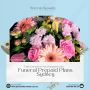Compare & Choose Wisely with Prepaid Funerals NSW