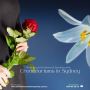 Peaceful Farewells Made Easy