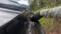 Eavestrough Cleaning That Every Homeowner Needs