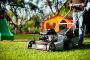 Lawn Care Tips for Beginners - Green Drop Lawn Care Tips for Beginners - Green Drop