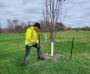 Eco-Friendly Tree Service for a Greener and Safer Yard
