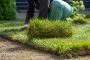 Green Effect Land & Tree | Tree Service in Midland NC