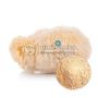 Maximize Cognitive Health with Lion’s Mane Mushroom Powder.