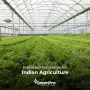 Why Protected Cultivation is Essential for Indian Agricultur