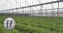 Polypropylene Rope: Ideal for agricultural and industrial ap