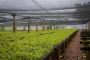 Your Trusted Shade Net Manufacturer for Sustainable Farming 