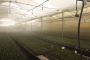 Best Shade Net House for Crop Protection and Farming