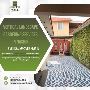 Fresh Vertical Nursery Plants & Landscape Gardening Services