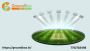 Where and How to Book the Best Cricket Grounds