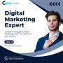 social media agency noida