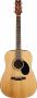 Jasmine A35 Acoustic Guitar