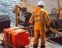 Professional Husbandry Services in Djibouti