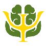 OCD Treatment in Pune OCD Treatment in Pune