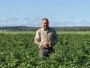 Potato growers ontario | Gwillimdale Farms Potato growers ontario | Gwillimdale Farms