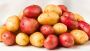 Mini roasted potatoes in canada| Gwillimdale Farms