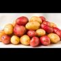 What to Look for in a Reliable Vegetable Supplier for Mini R